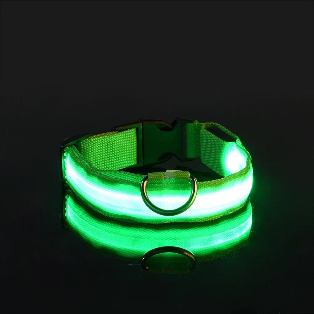 LED Dog Collar & Leash Set