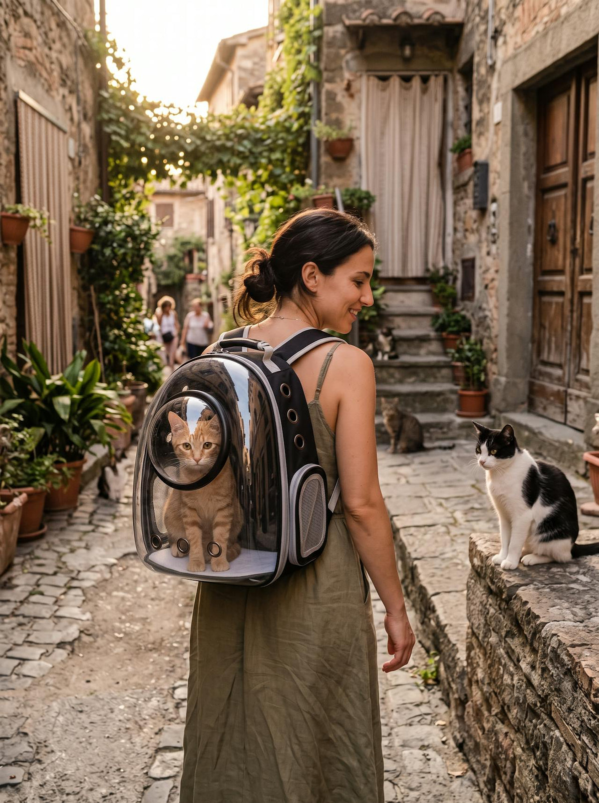 Clear Capsule Pet Backpack