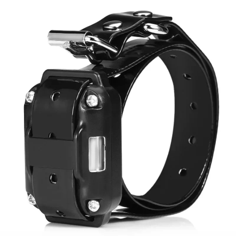 Remote Dog Training Collar