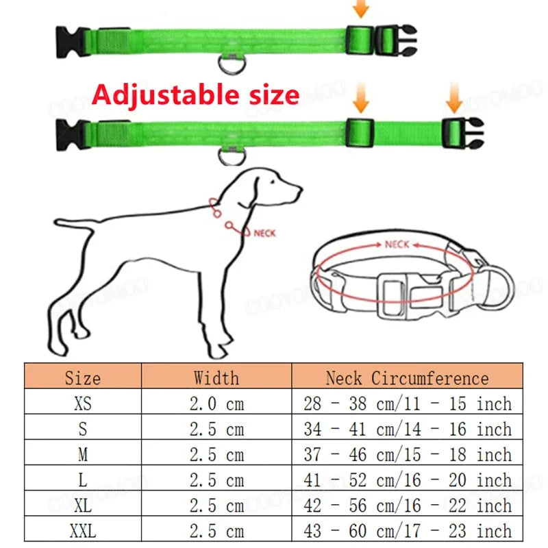 LED Rechargeable Dog Collar