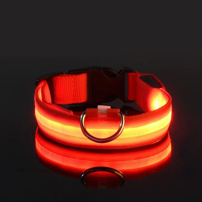 LED Dog Collar & Leash Set