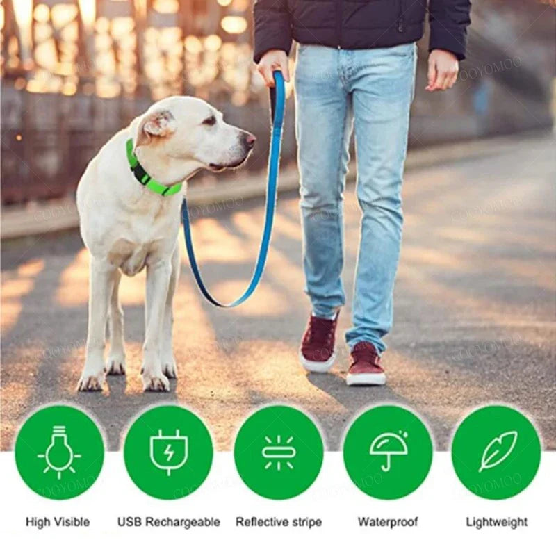 LED Rechargeable Dog Collar
