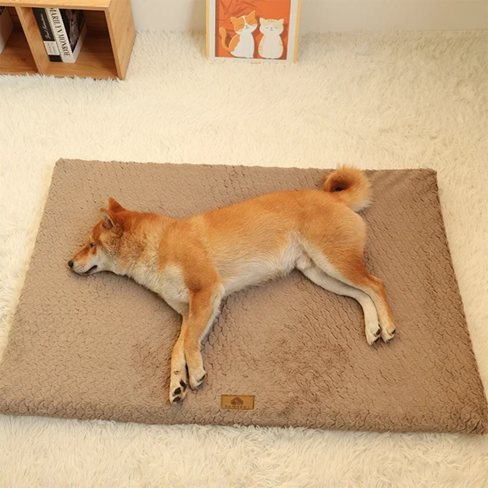 Orthopedic Foam Dog Bed