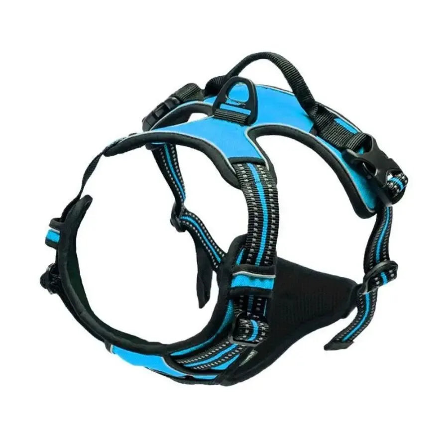 Leather Dog Harness, Collar & Leash Set