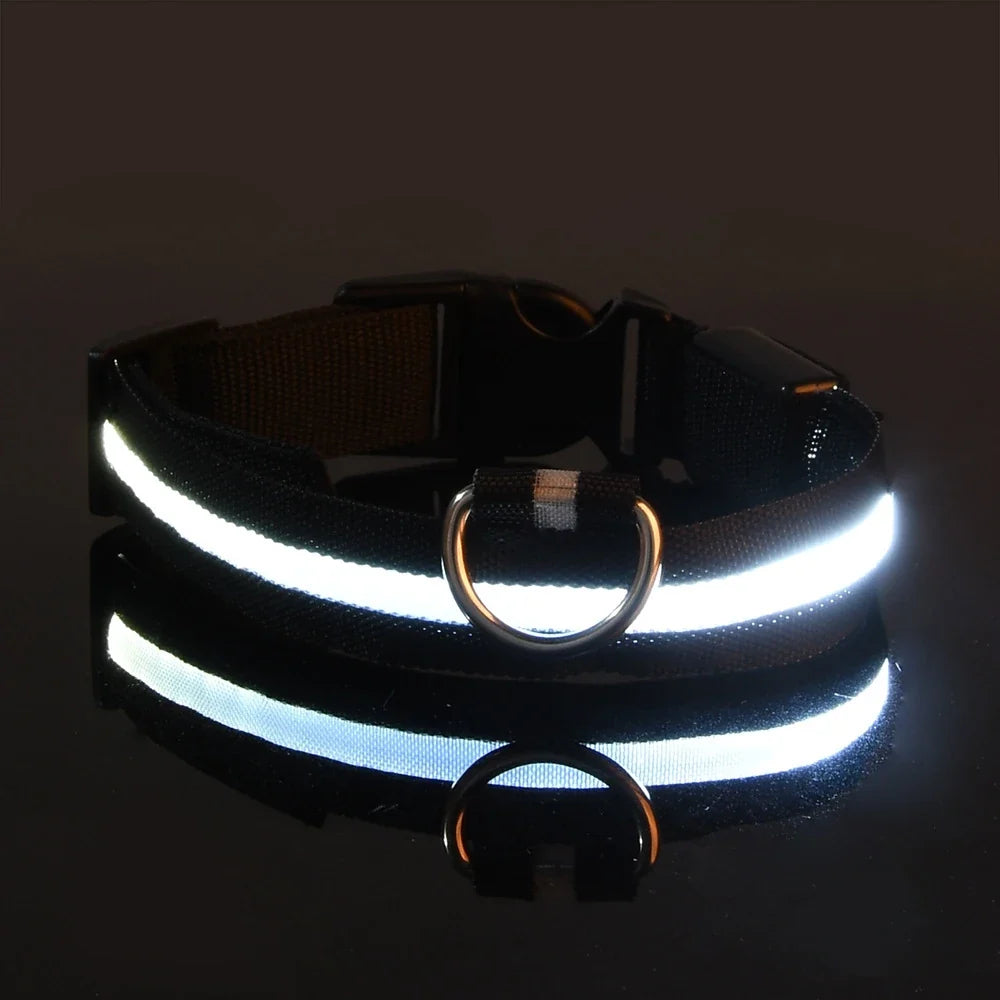 LED Dog Collar & Leash Set