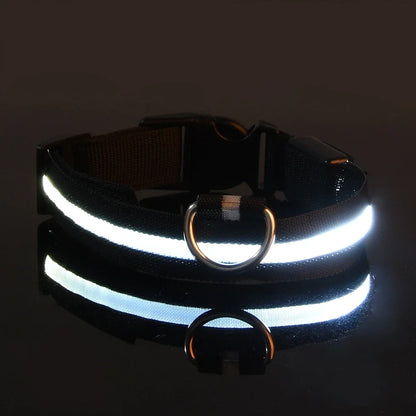 LED Dog Collar & Leash Set
