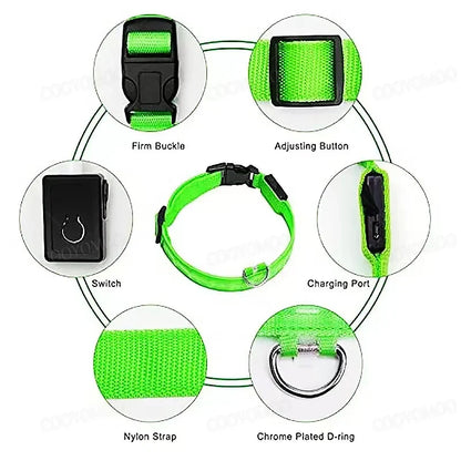 LED Rechargeable Dog Collar