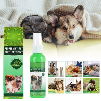 Pet Flea & Tick Drops 60ml