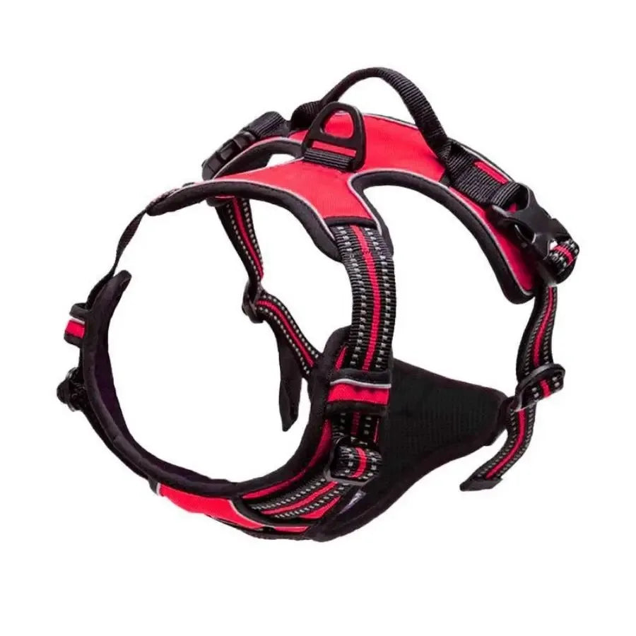 Leather Dog Harness, Collar & Leash Set