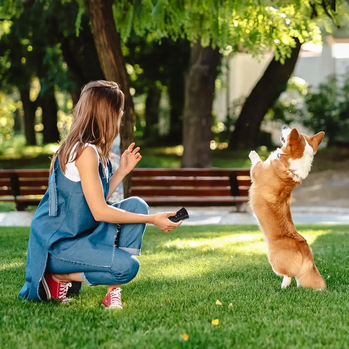 Ultrasonic Bark Control Trainer