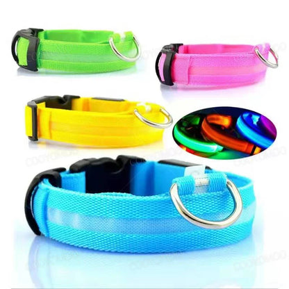 LED Rechargeable Dog Collar