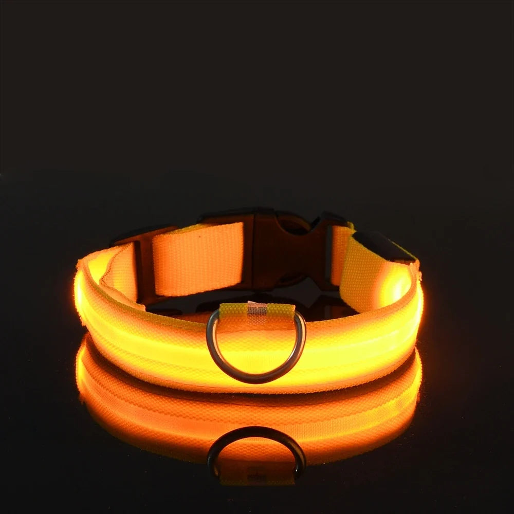 LED Dog Collar & Leash Set