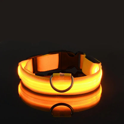 LED Dog Collar & Leash Set