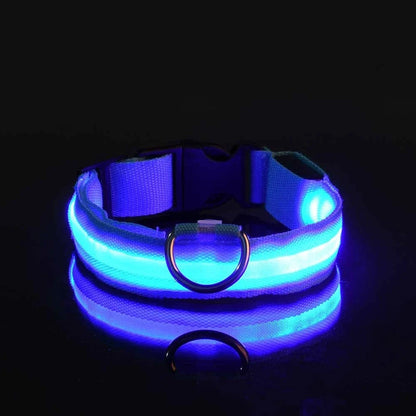 LED Dog Collar & Leash Set