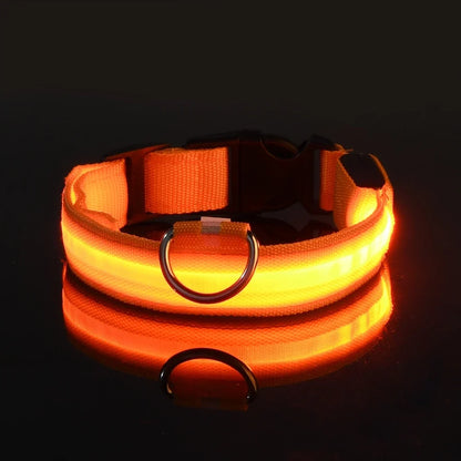 LED Dog Collar & Leash Set