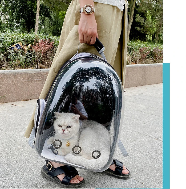 Clear Capsule Pet Backpack