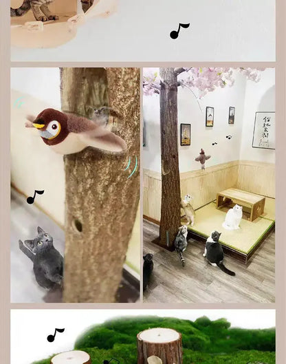 Interactive Catnip Bird Toy