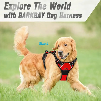 Leather Dog Harness, Collar & Leash Set