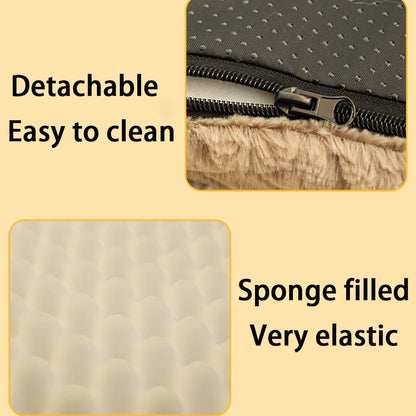 Orthopedic Foam Dog Bed