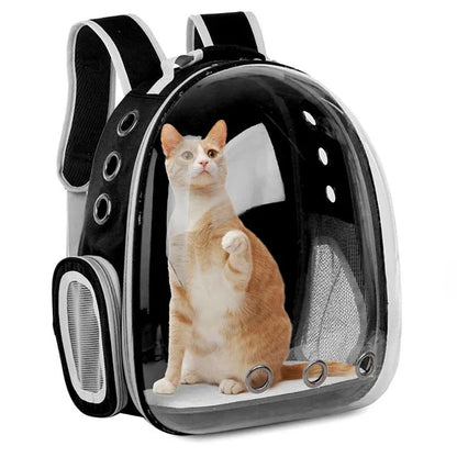 Clear Capsule Pet Backpack