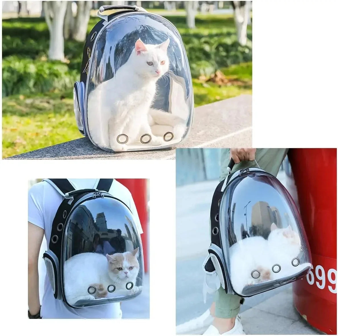 Bubble Window Pet Backpack