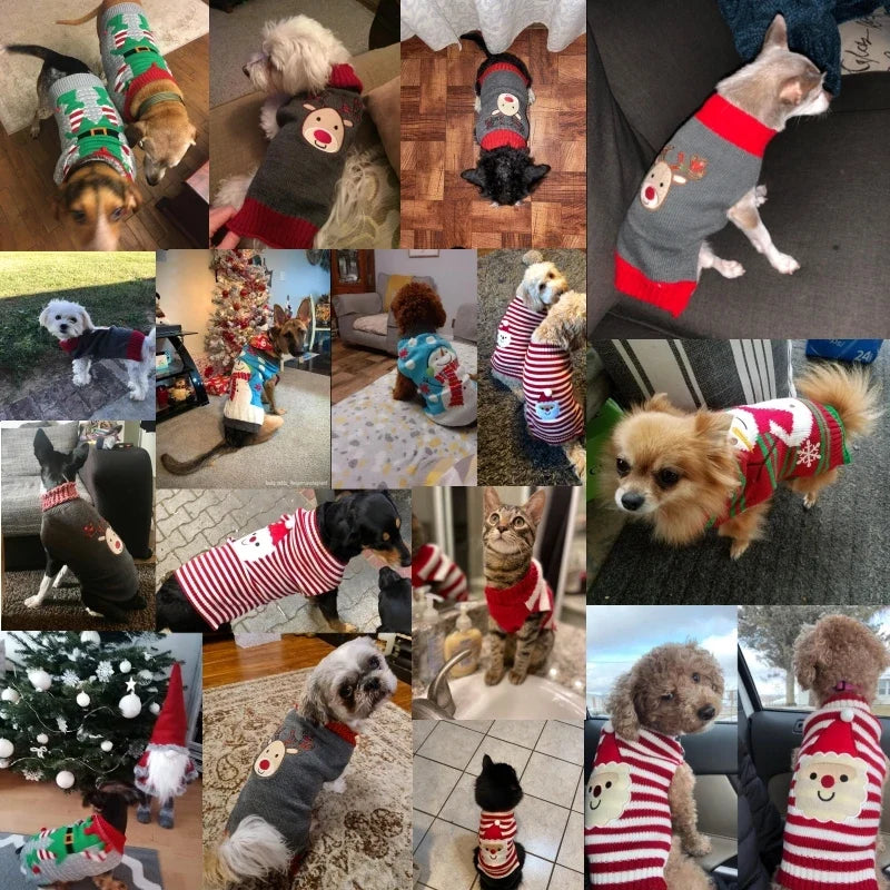 Christmas Knit Pet Sweater