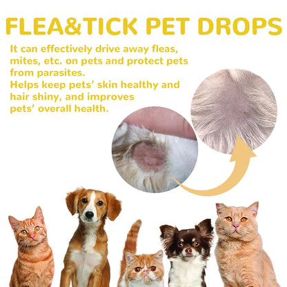Cat Flea & Tick Drops