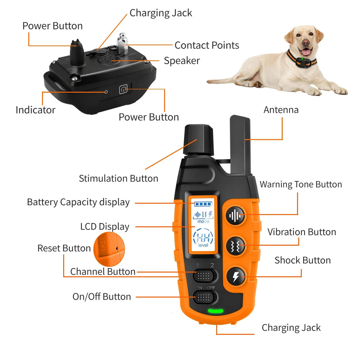 Long-Range Remote Dog Training Collar