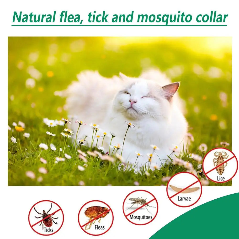 Pet Flea & Tick Drops 60ml