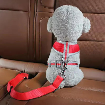 Pet Car Seat Belt Leash