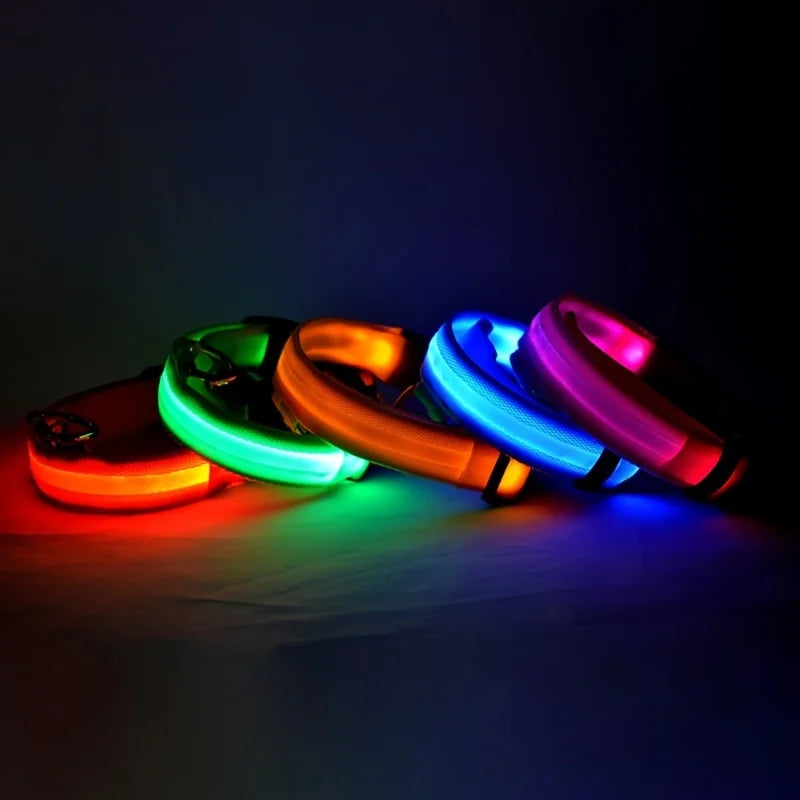 LED Dog Collar & Leash Set