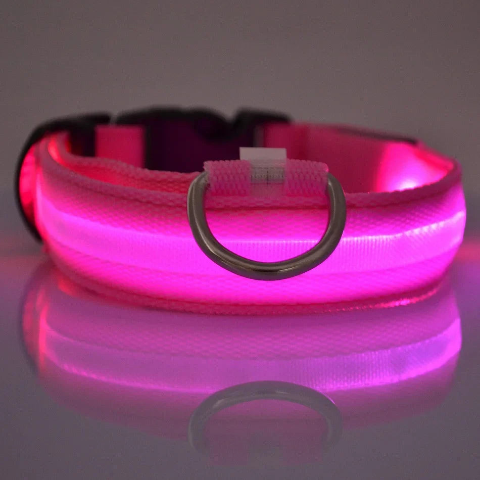 LED Dog Collar & Leash Set