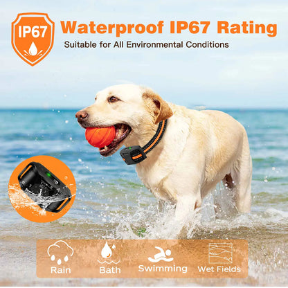 Long-Range Remote Dog Training Collar