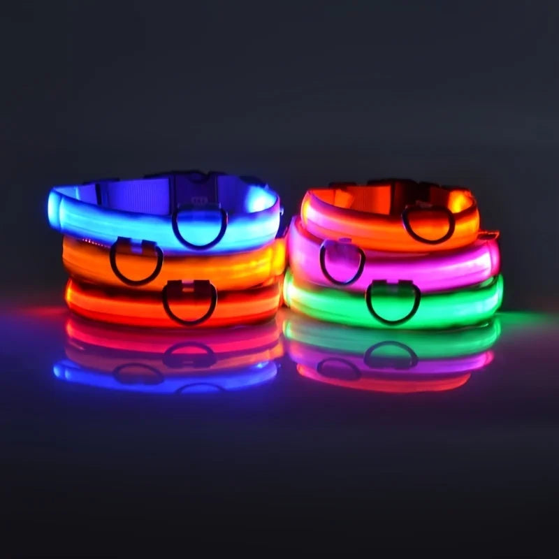LED Dog Collar & Leash Set