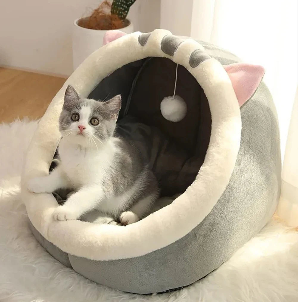 Foldable Cartoon Pet Bed
