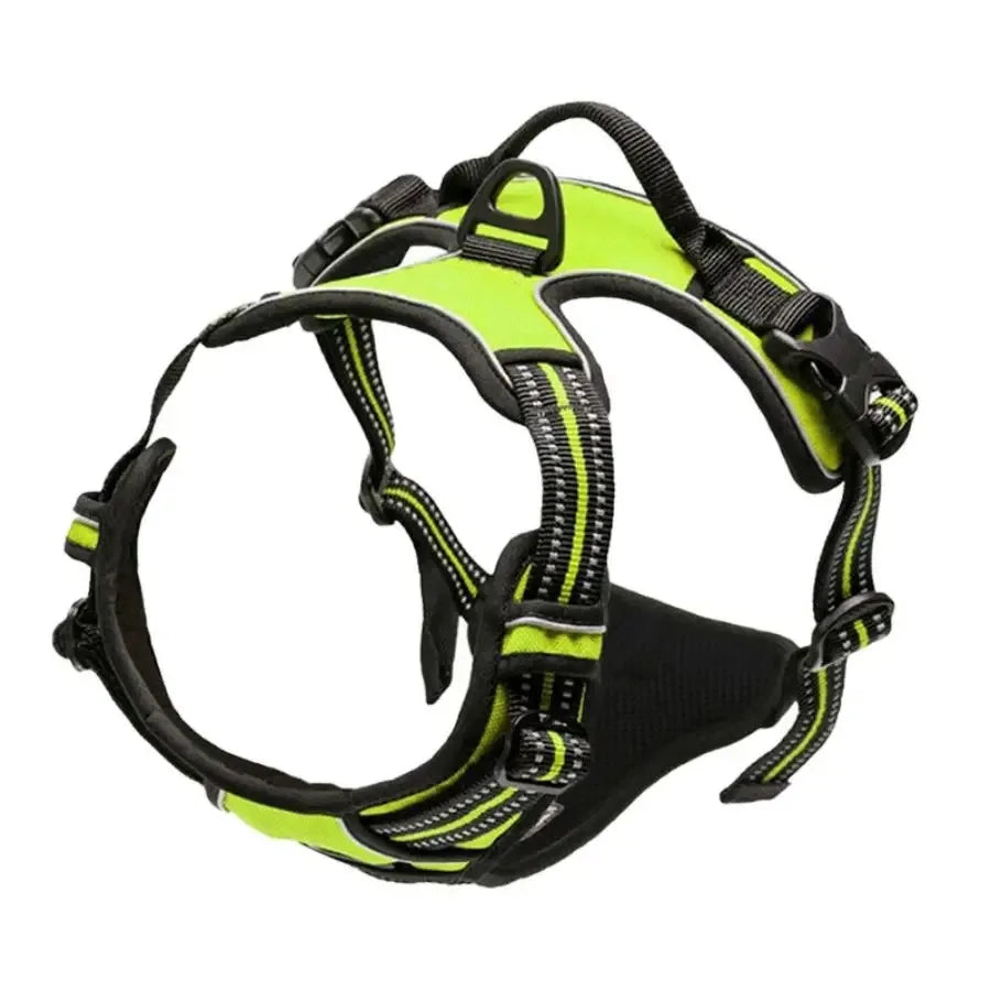 Leather Dog Harness, Collar & Leash Set
