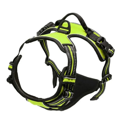 Leather Dog Harness, Collar & Leash Set