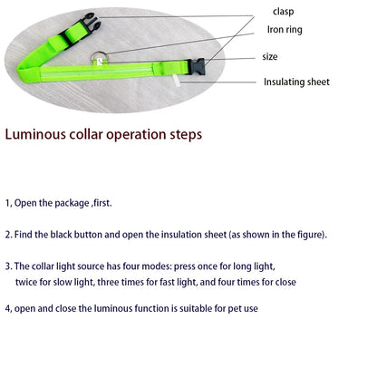 LED Dog Collar & Leash Set