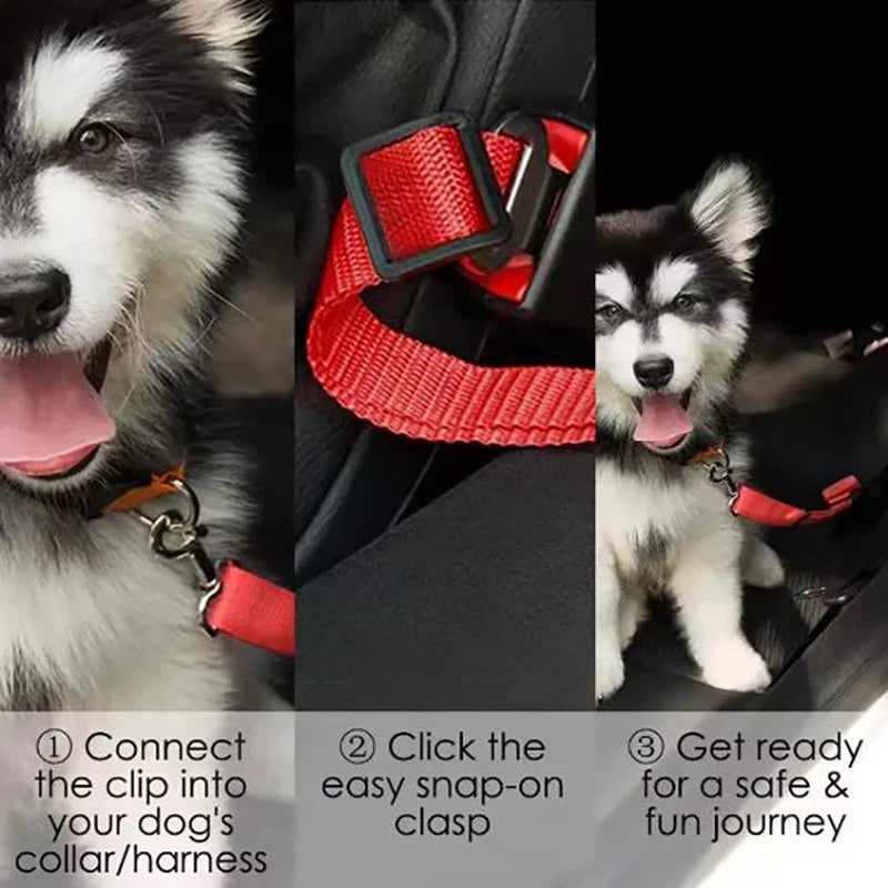 Pet Car Seat Belt Leash