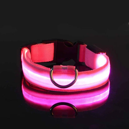 LED Dog Collar & Leash Set