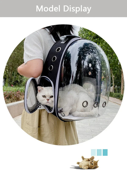 Clear Capsule Pet Backpack