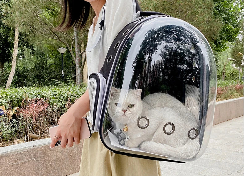 Clear Capsule Pet Backpack