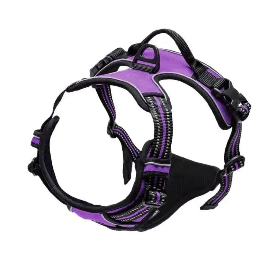 Leather Dog Harness, Collar & Leash Set
