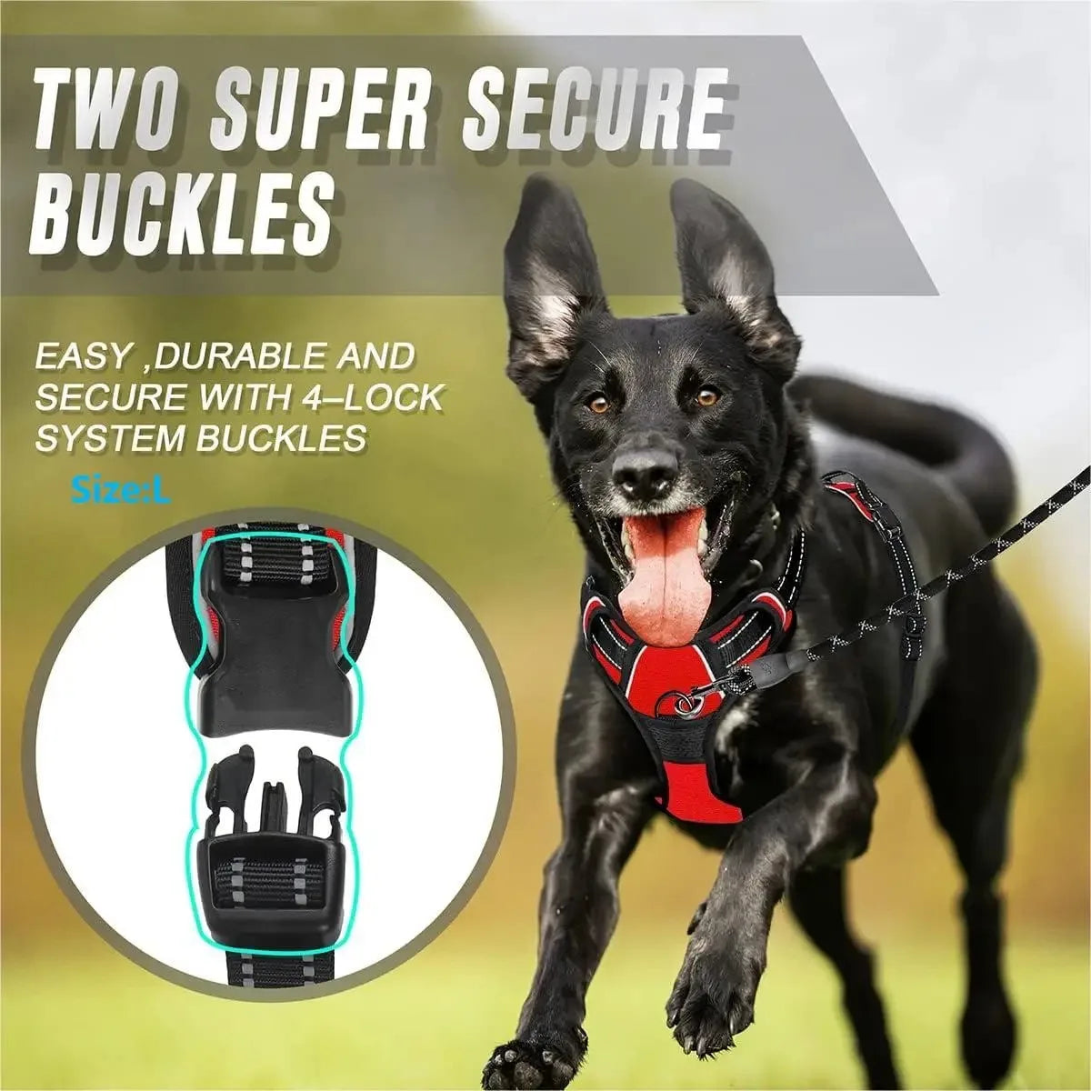 Leather Dog Harness, Collar & Leash Set