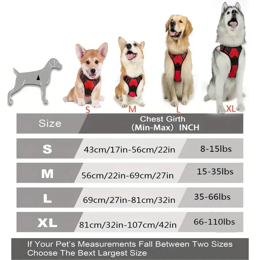 Leather Dog Harness, Collar & Leash Set