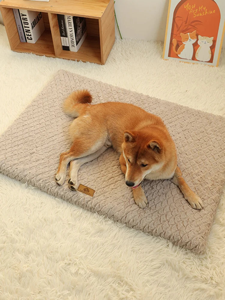 Orthopedic Foam Dog Bed