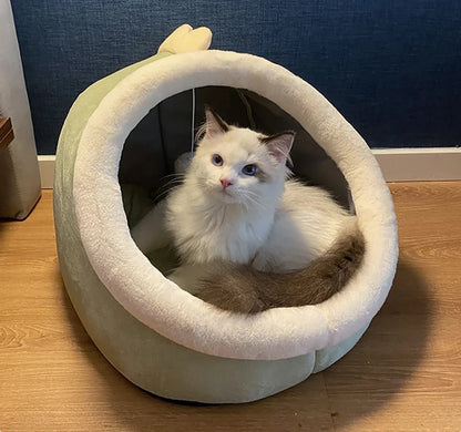 Foldable Cartoon Pet Bed
