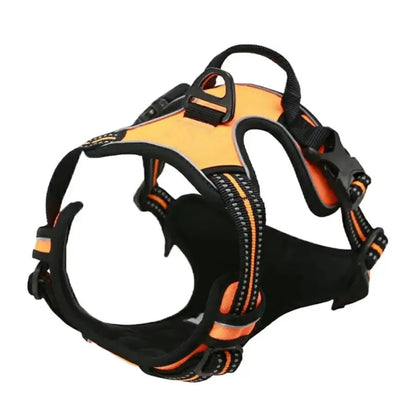 Leather Dog Harness, Collar & Leash Set
