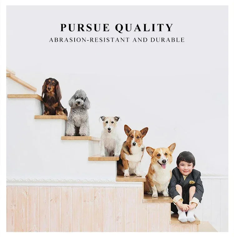 Foldable Mesh Pet Carrier Handbag