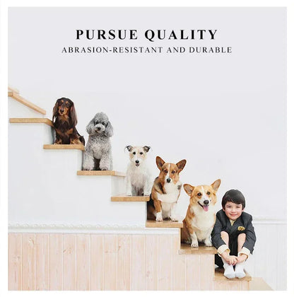 Foldable Mesh Pet Carrier Handbag